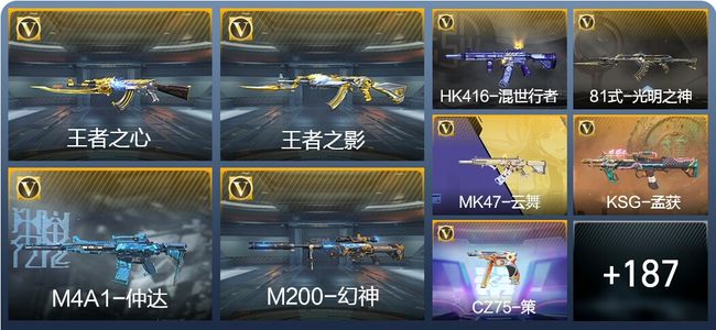 穿越火线：枪战王者V4 6王者武器 222英雄武器 1英雄角色 385万化 枪皇SSS