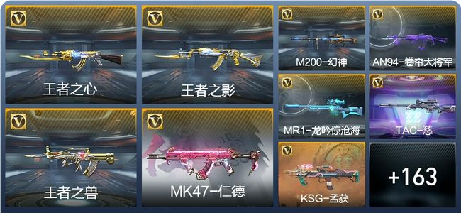 穿越火线：枪战王者V6 14王者武器 172英雄武器 4英雄角色 253万化 专家S