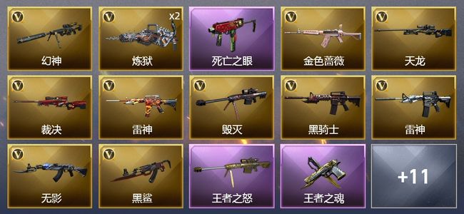 穿越火线（CF）3王者武器 2炫金武器 21V武器 2V角色 5皮肤 可排位 精英
