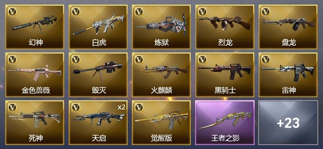 穿越火线（CF）4王者武器 39V武器 14皮肤 可排位 新锐