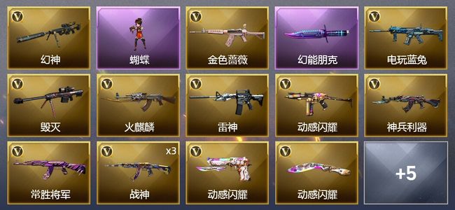 穿越火线（CF）17V武器 14皮肤 可排位 大师