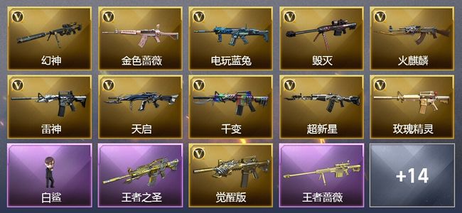 穿越火线（CF）5王者武器 24V武器 8皮肤 可排位 宗师