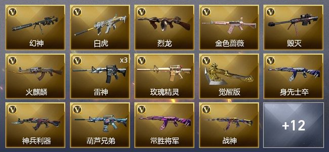 穿越火线（CF）24V武器 10皮肤 可排位 新锐