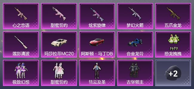 和平精英5载具 12升级枪 12套装 21印记
