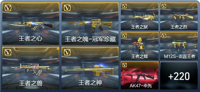 穿越火线：枪战王者V8 16王者武器 276英雄武器 4英雄角色 521万化 枪皇SSS