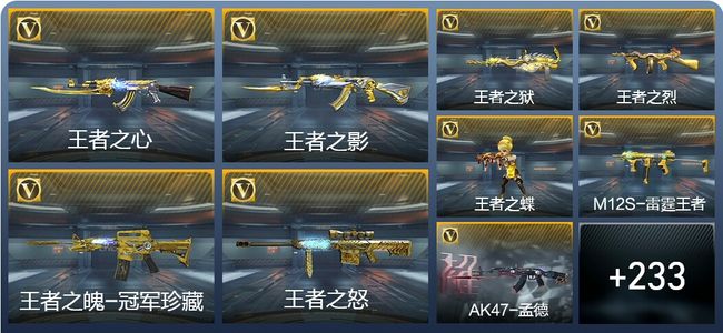 穿越火线：枪战王者V8 19王者武器 242英雄武器 10英雄角色 419万化 专家