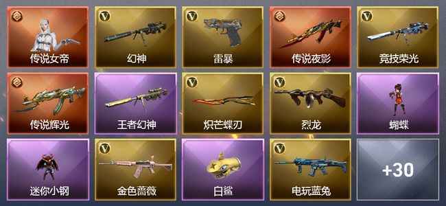 穿越火线（CF）1传说角色 1传说武器 1王者武器 1炫金武器 1V武器 1V角色 1皮肤 可排位
