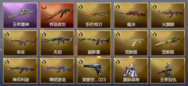 穿越火线（CF）1传说武器 1王者武器 12V武器 1V角色 2皮肤 可排位 枪王