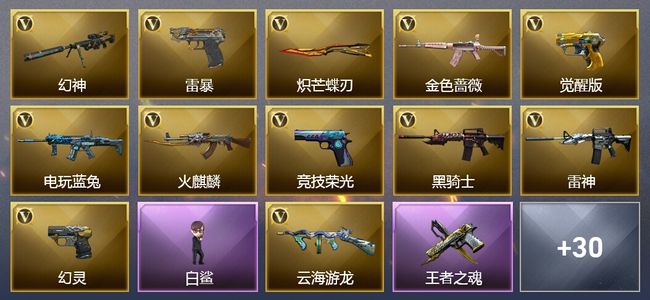 穿越火线（CF）2王者武器 54V武器 1V角色 17皮肤 可排位 传奇
