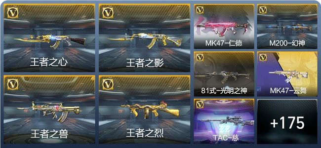 穿越火线：枪战王者V6 6王者武器 201英雄武器 351万化 枪王SSS