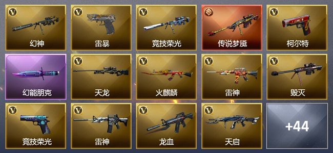 穿越火线（CF）1传说武器 1王者武器 53V武器 1V角色 17皮肤 可排位 专家