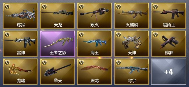 穿越火线（CF）1王者武器 13V武器 2皮肤 可排位 新锐