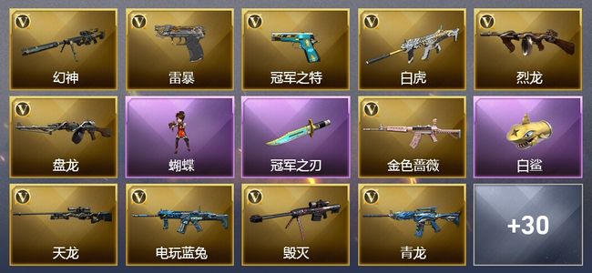 穿越火线（CF）1传说角色 1传说武器 1王者武器 1炫金武器 1V武器 1V角色 1皮肤 可排位