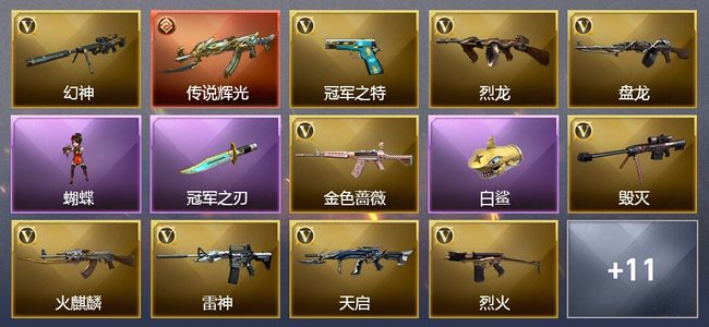 穿越火线（CF）1传说角色 1传说武器 1王者武器 1炫金武器 1V武器 1V角色 1皮肤 可排位 枪王