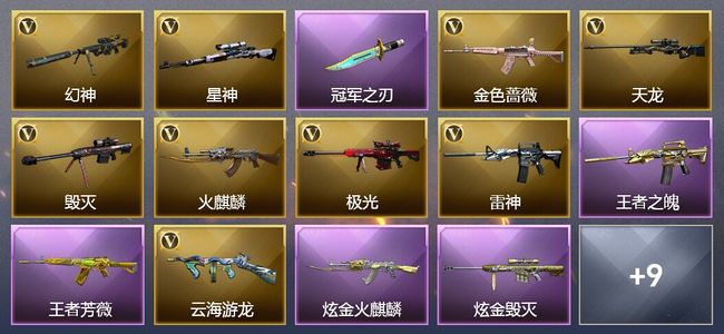 穿越火线（CF）1传说角色 1传说武器 1王者武器 1炫金武器 1V武器 1V角色 1皮肤 可排位 枪王