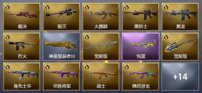 穿越火线（CF）1王者武器 17V武器 10皮肤 可排位 传奇