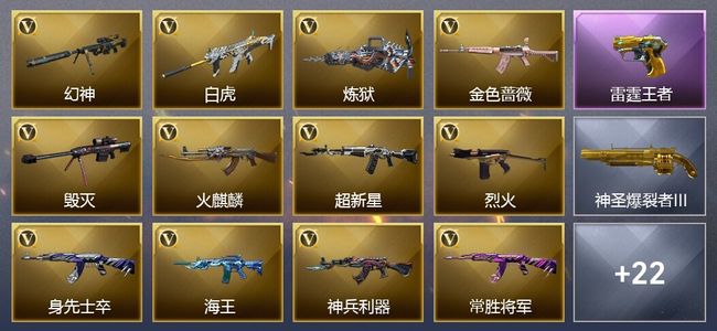 穿越火线（CF）4王者武器 21V武器 16皮肤 可排位 新锐