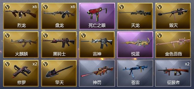 穿越火线（CF）1王者武器 21V武器 1皮肤 可排位 新锐