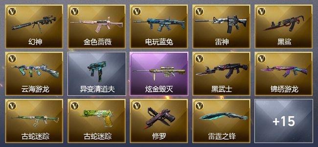 穿越火线（CF）1炫金武器 21V武器 1V角色 3皮肤 可排位 新锐