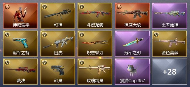 穿越火线（CF）1传说角色 2传说武器 8王者武器 27V武器 3V角色 11皮肤 可排位