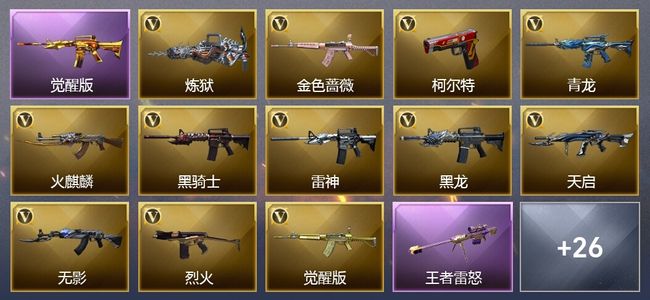 穿越火线（CF）6王者武器 3炫金武器 28V武器 10皮肤 可排位 专家