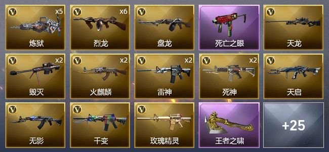 穿越火线（CF）1王者武器 4炫金武器 42V武器 1V角色 13皮肤 可排位 新锐