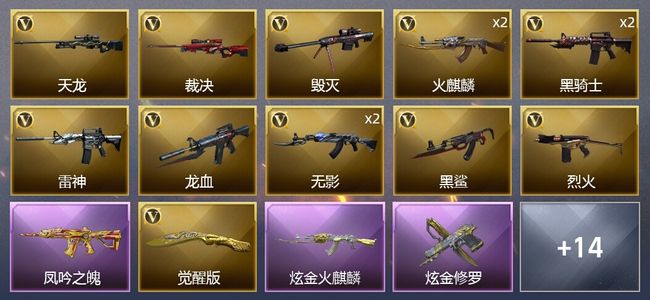 穿越火线（CF）1王者武器 2炫金武器 29V武器 1V角色 17皮肤 可排位 新锐