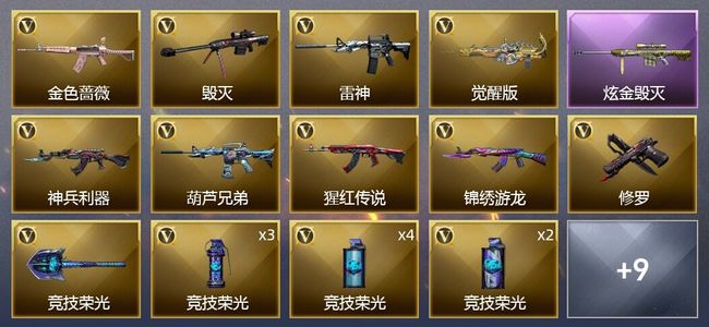 穿越火线（CF）1炫金武器 20V武器 2V角色 9皮肤 可排位 新锐
