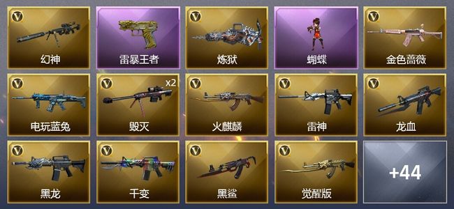 穿越火线（CF）4王者武器 1炫金武器 48V武器 2V角色 18皮肤 可排位 新锐