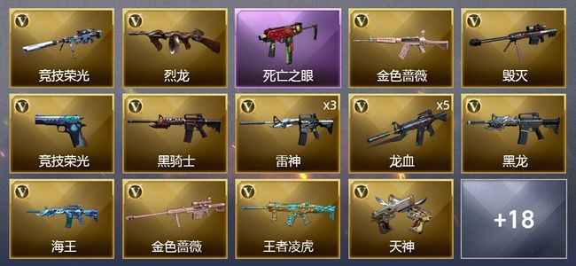 穿越火线（CF）36V武器 2V角色 11皮肤 可排位 专家