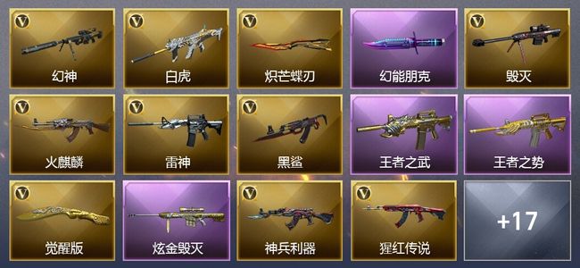 穿越火线（CF）2王者武器 1炫金武器 21V武器 1V角色 10皮肤 可排位 新锐