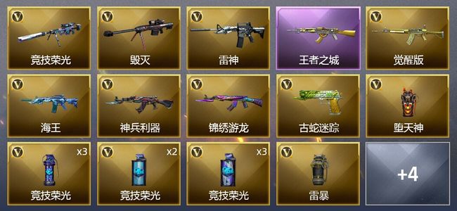 穿越火线（CF）1王者武器 18V武器 9皮肤 可排位 新锐