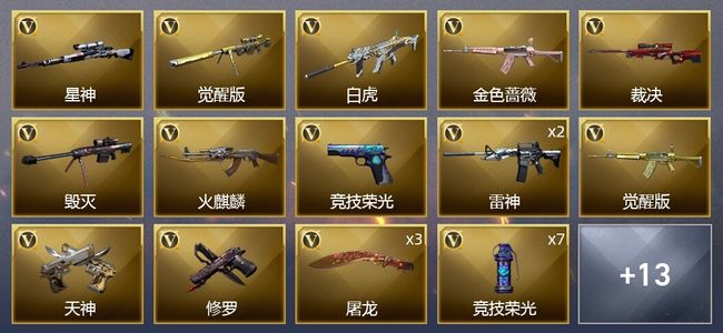 穿越火线（CF）41V武器 2V角色 16皮肤 可排位 枪王