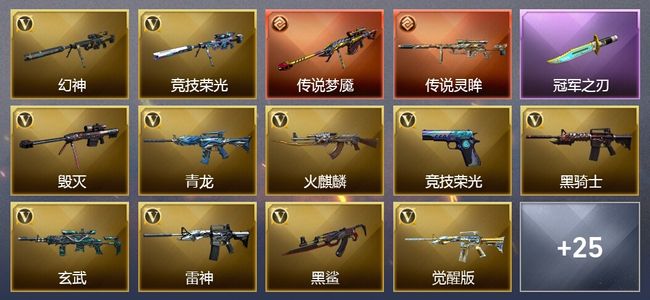穿越火线（CF）2传说武器 2炫金武器 31V武器 2V角色 19皮肤 可排位 大师