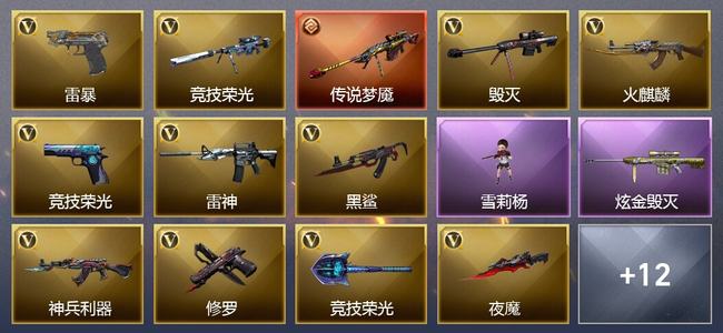穿越火线（CF）0传说角色 1传说武器 0王者武器 1炫金武器 28V武器 1V角色 6皮肤 新锐