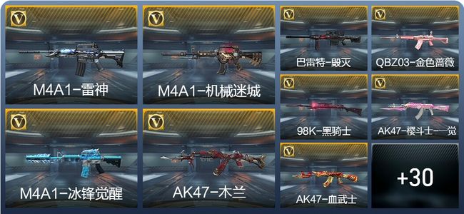 穿越火线：枪战王者39英雄武器 54万化 专家