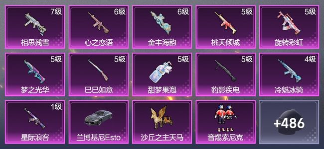 和平精英【苹果版】1载具 11升级枪 23粉装 2飞行器 277枪皮 204套装 93753热力 15印记 皇冠