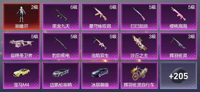 和平精英8载具 9升级枪 14粉装 2飞行器 120枪皮 73套装 53955热力 5印记 王牌