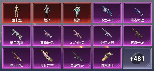 和平精英【苹果版】6载具 18升级枪 29粉装 266枪皮 202套装 11,2042热力 1印记