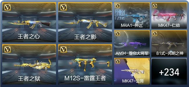 穿越火线：枪战王者V4 19王者武器 243英雄武器 10英雄角色 516万化 大师SS