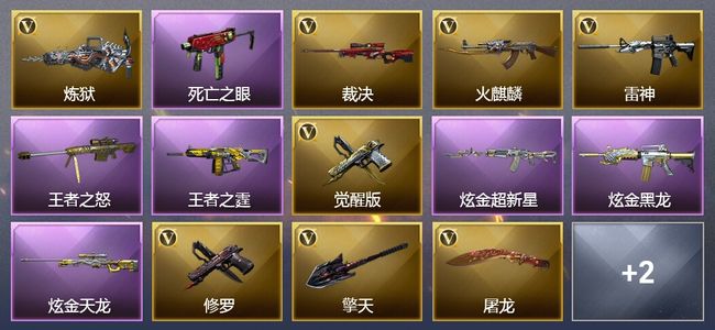 穿越火线（CF）1传说角色 1传说武器 4王者武器 3炫金武器 12V武器 14V角色 5皮肤 可排位