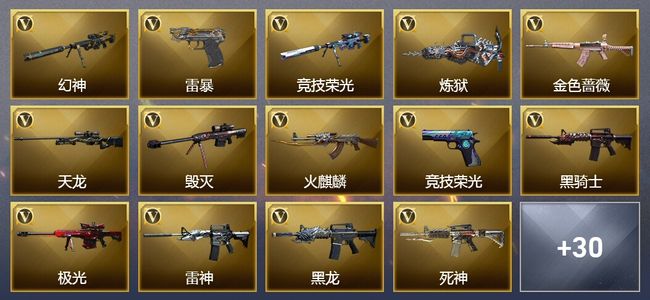 穿越火线（CF）3王者武器 2炫金武器 55V武器 23V角色 14皮肤 可排位