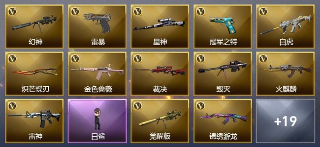 穿越火线（CF）1王者武器 32V武器 38V角色 19皮肤 可排位