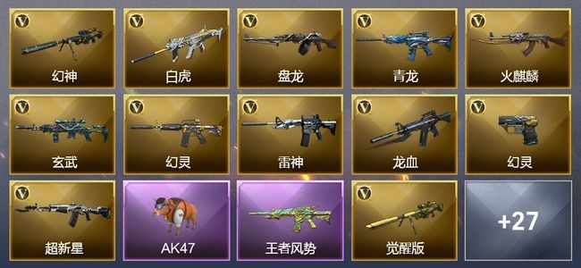 穿越火线（CF）6王者武器 1炫金武器 47V武器 25V角色 5皮肤 可排位