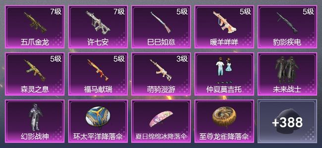 和平精英8升级枪 3粉装 1尾迹 222枪皮 206套装 67312热力 7印记