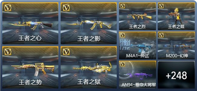 穿越火线：枪战王者19王者武器 257英雄武器 12英雄角色 490万化 专家S