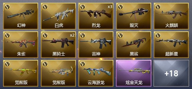 穿越火线（CF）1炫金武器 44V武器 2V角色 5皮肤 可排位 枪王