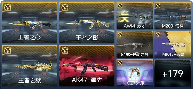 穿越火线：枪战王者V6 5王者武器 205英雄武器 8英雄角色 434万化 枪圣