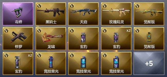 穿越火线（CF）19V武器 2V角色 6皮肤 可排位