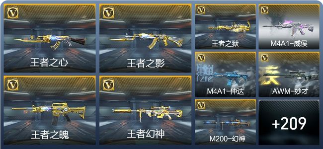 穿越火线：枪战王者V7 11王者武器 219英雄武器 5英雄角色 508万化 枪圣SS